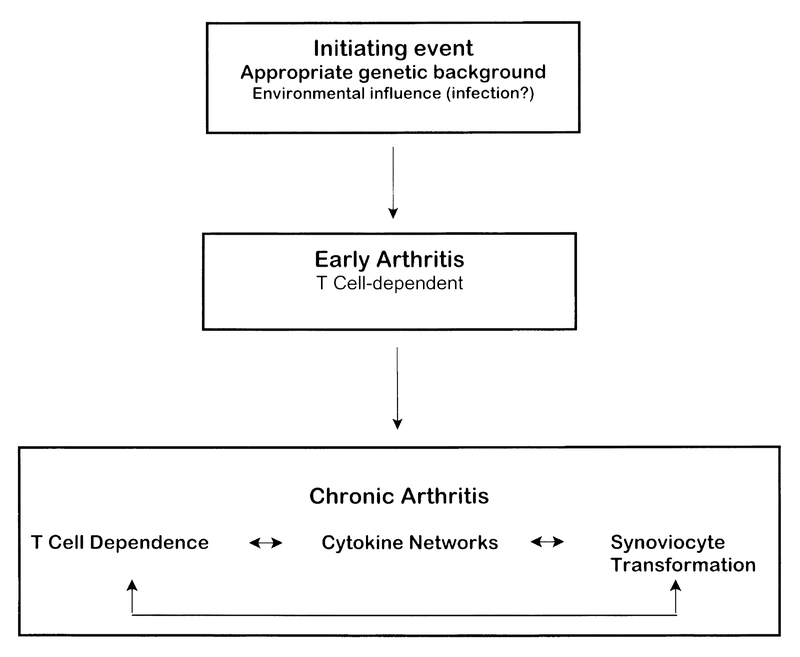 Inflammatory Arthritis Inflammatory Arthritis