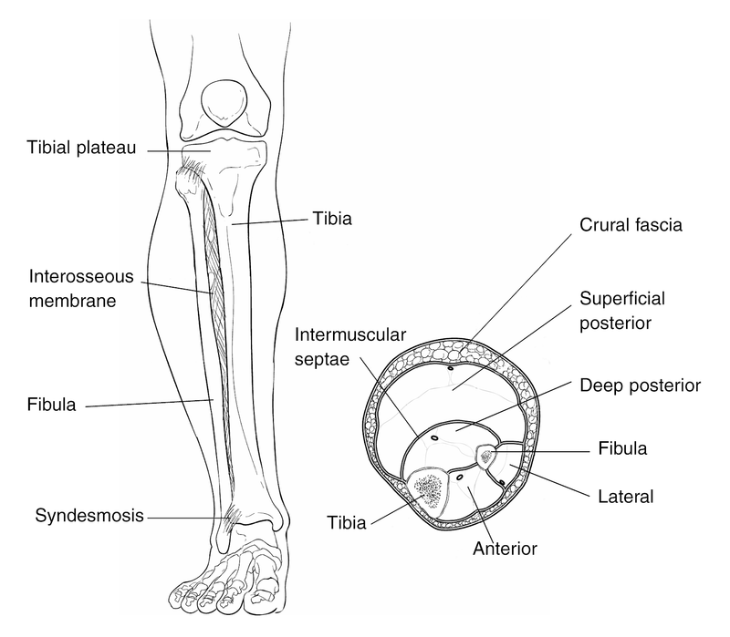 Musculoskeletal Emergencies