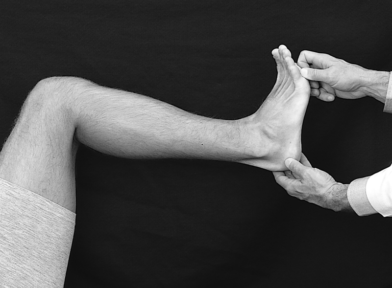 Physical Examination