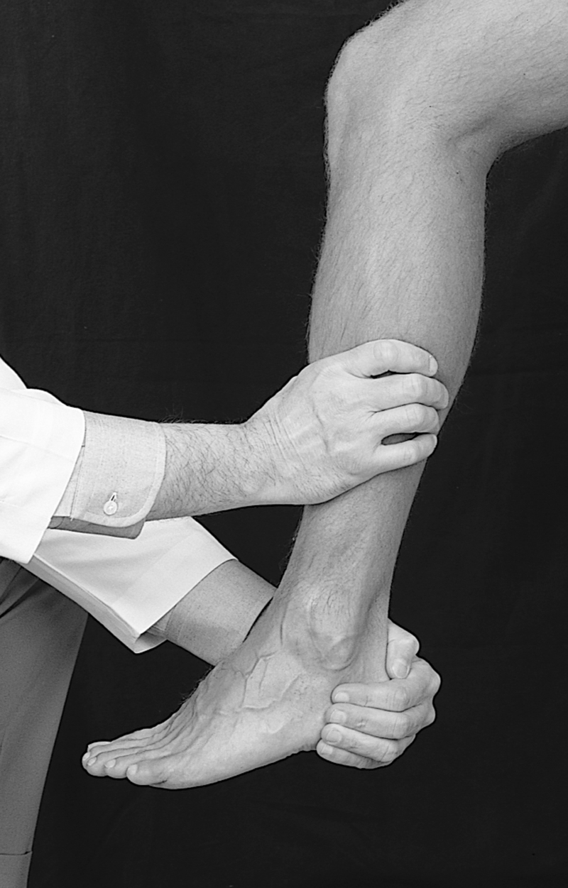 Physical Examination