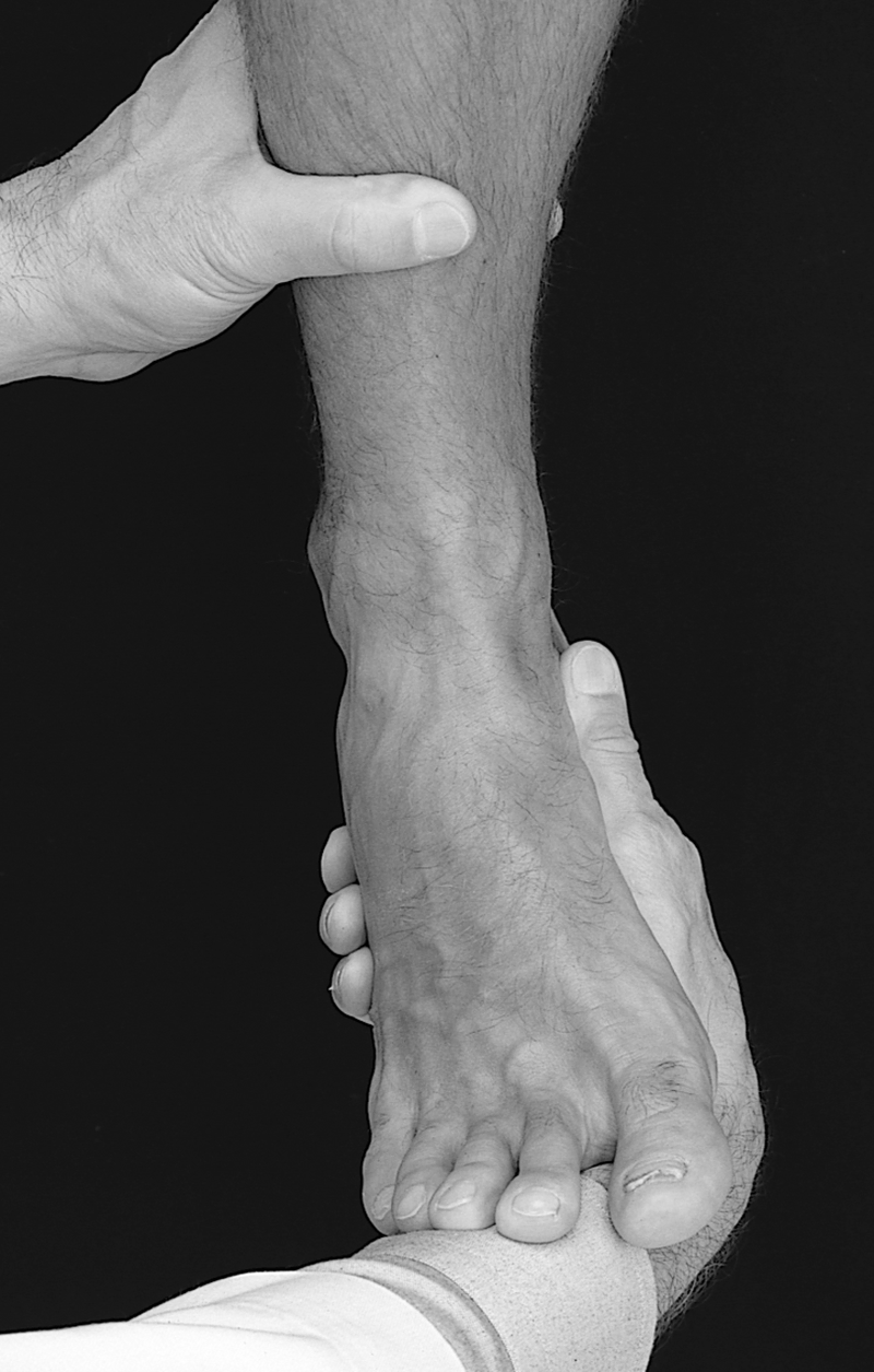 Physical Examination