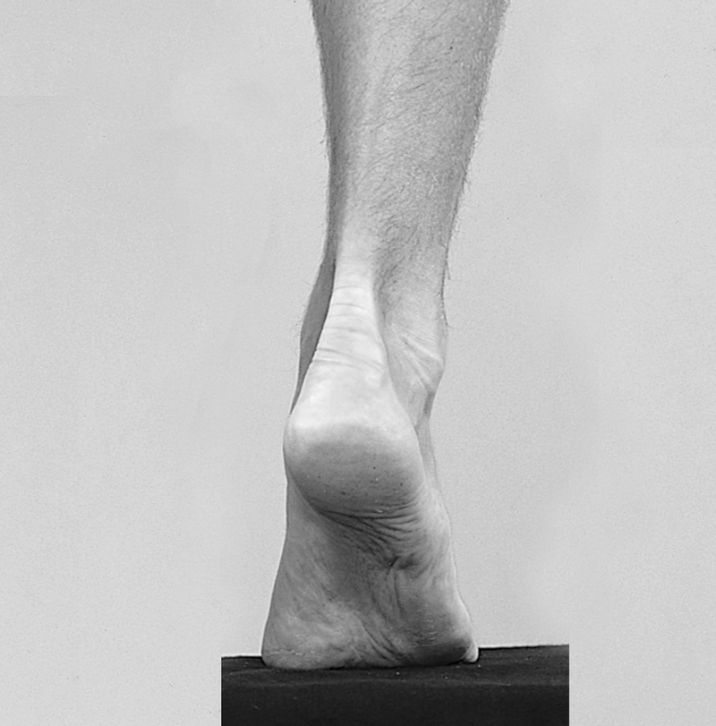Physical Examination