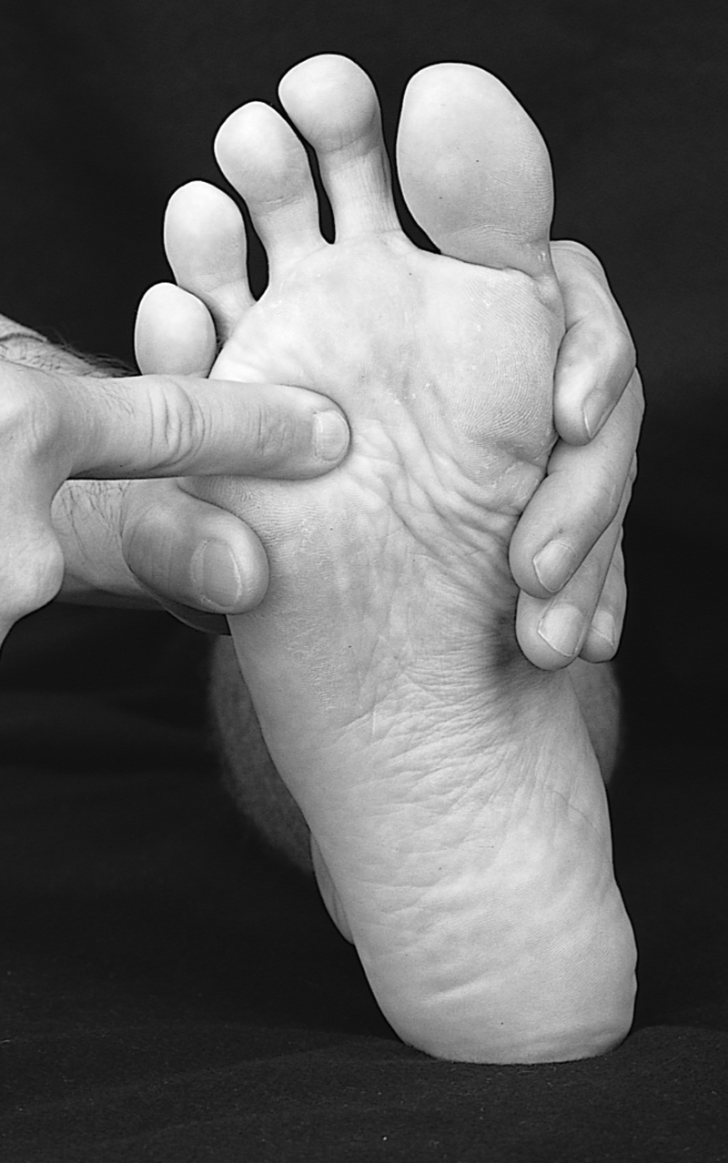 Physical Examination