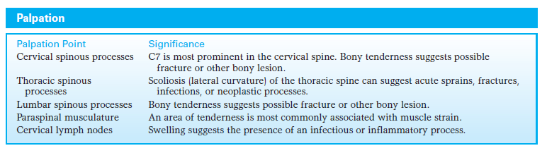 Physical Examination