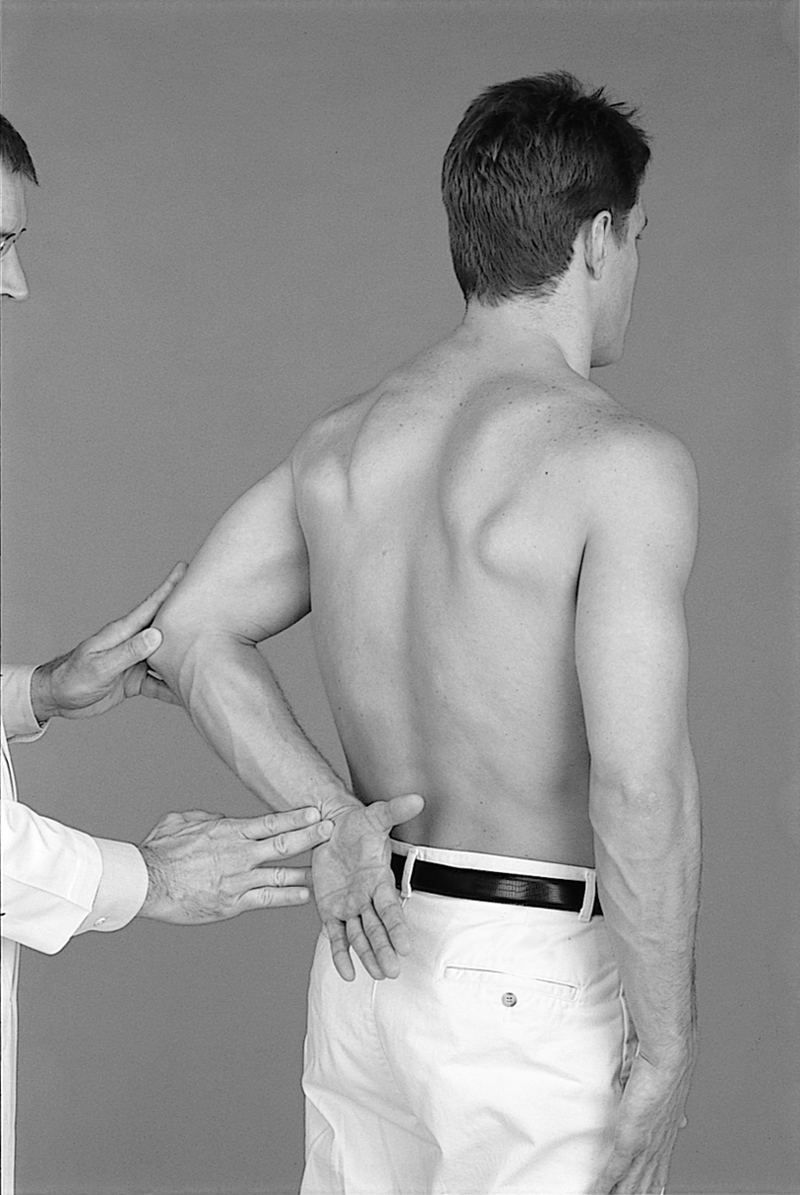 Physical Examination