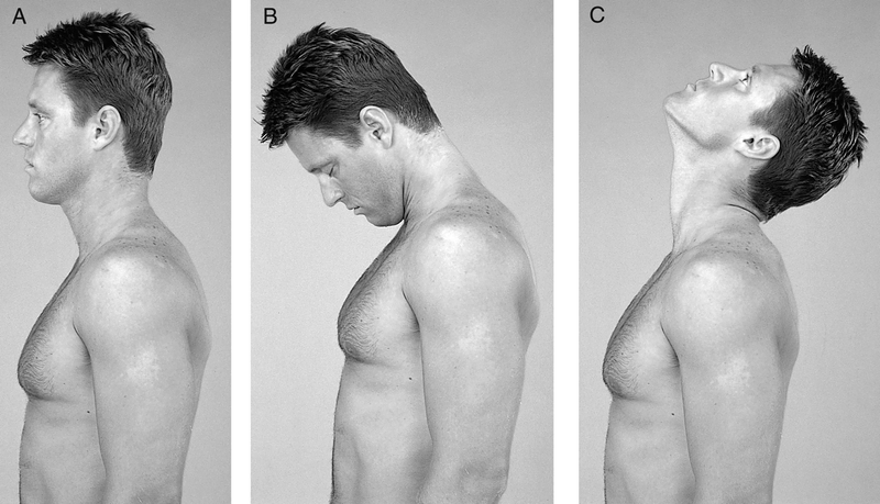 Physical Examination