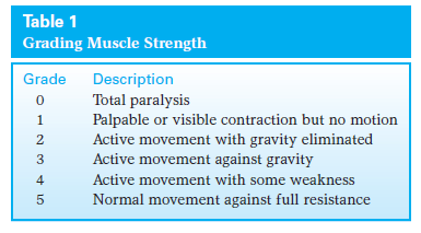 Physical Examination
