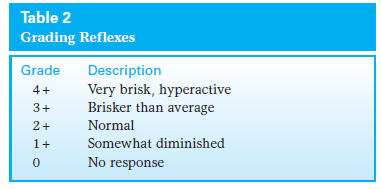 Physical Examination