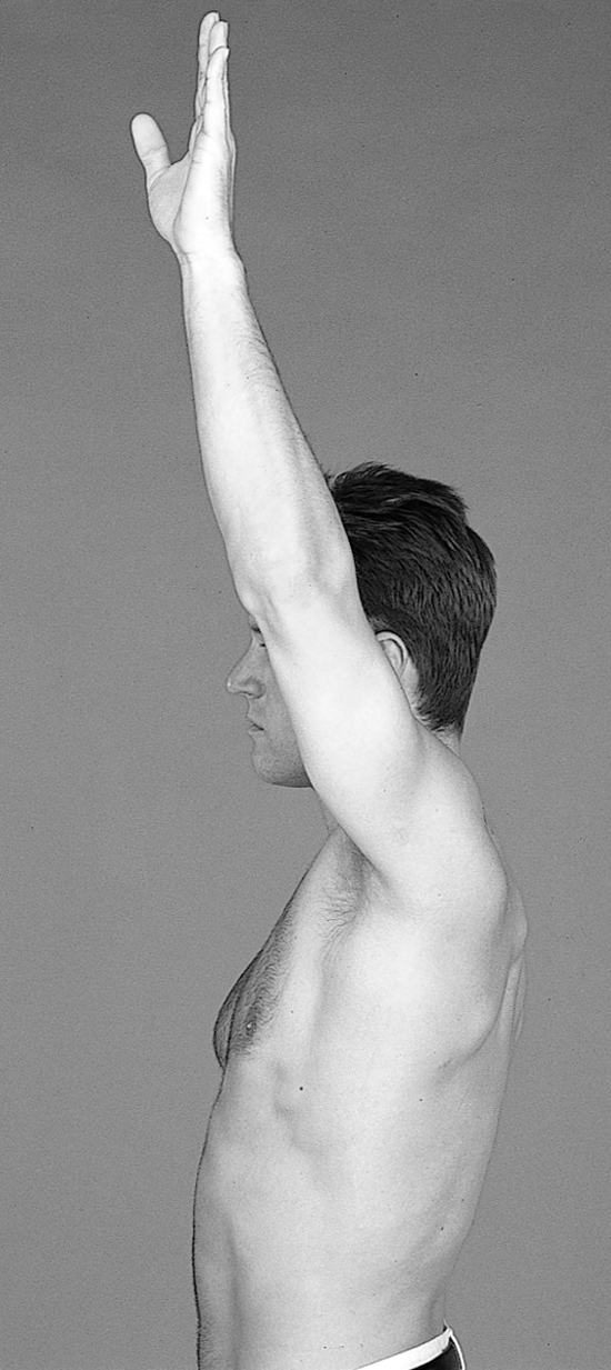 Physical Examination