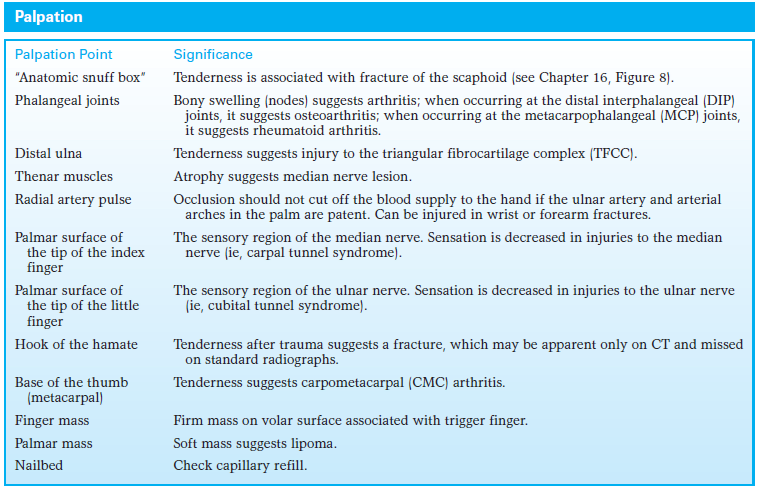 Physical Examination