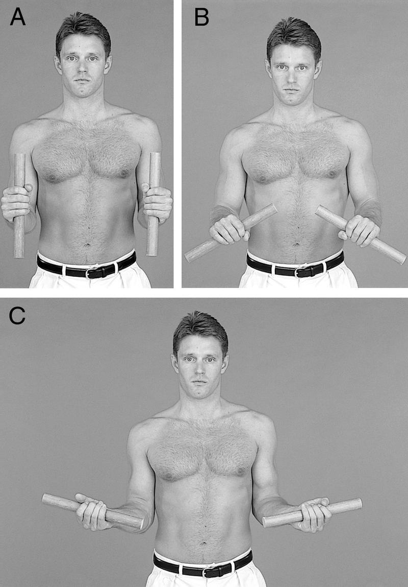 Physical Examination