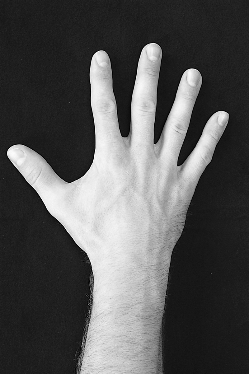 Physical Examination