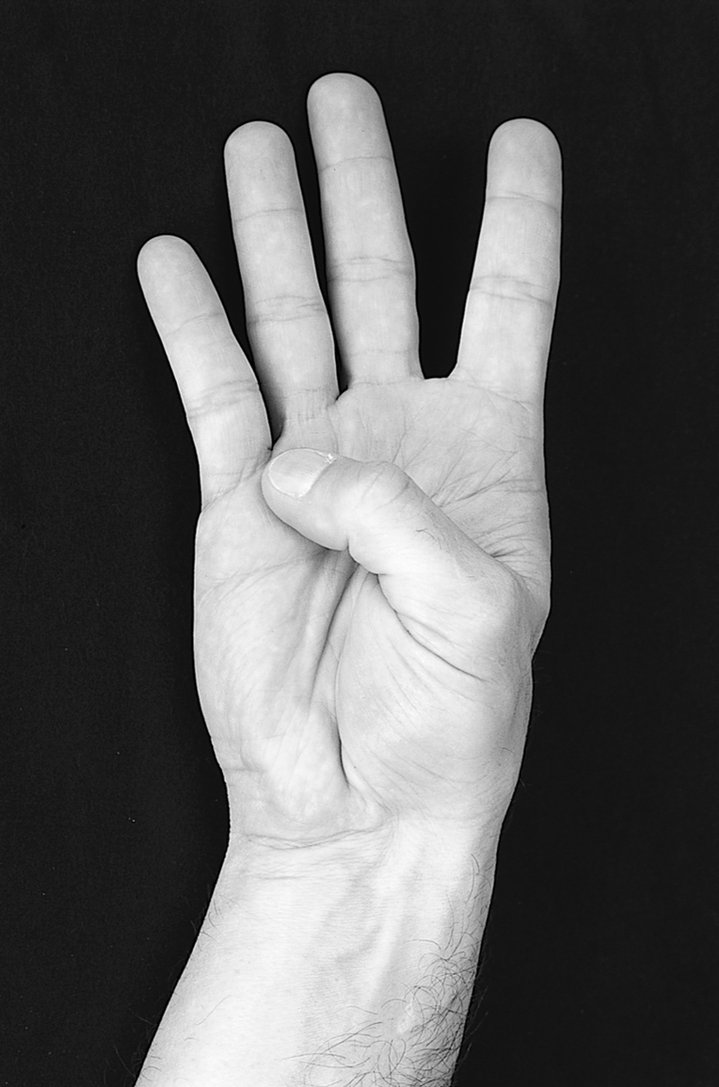 Physical Examination