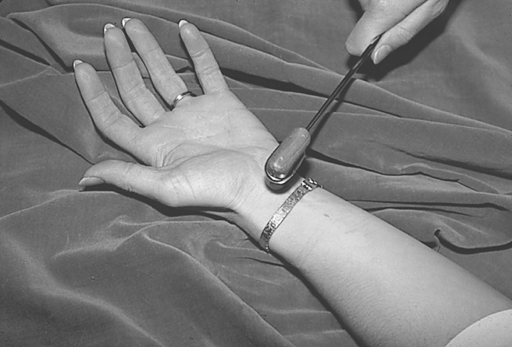 Physical Examination