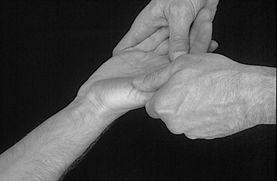 Physical Examination