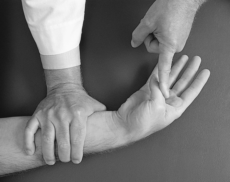 Physical Examination