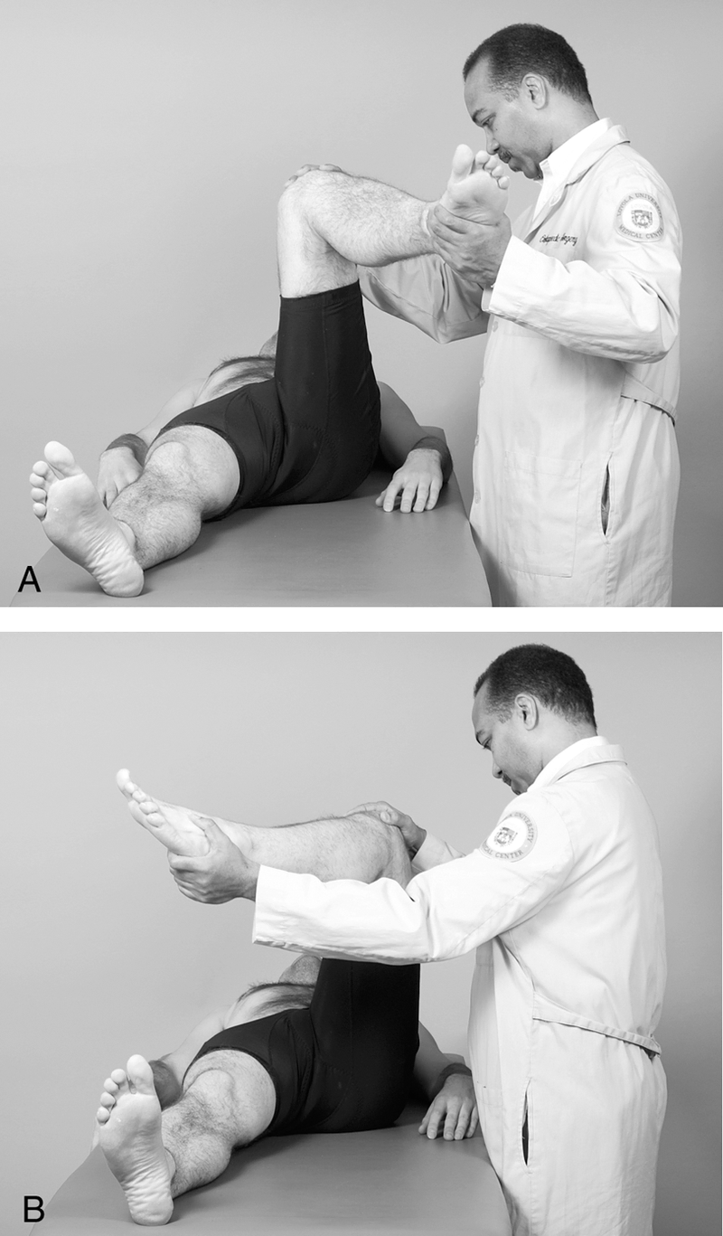 Physical Examination