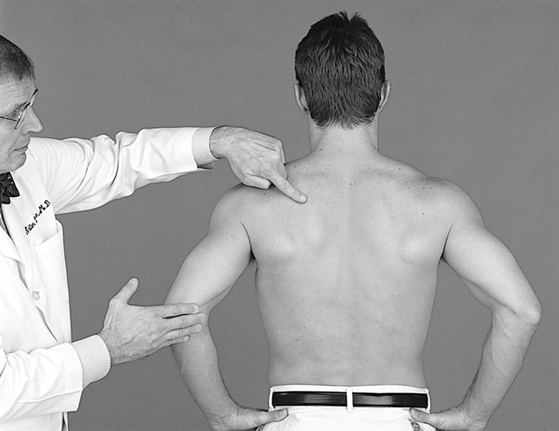 Physical Examination