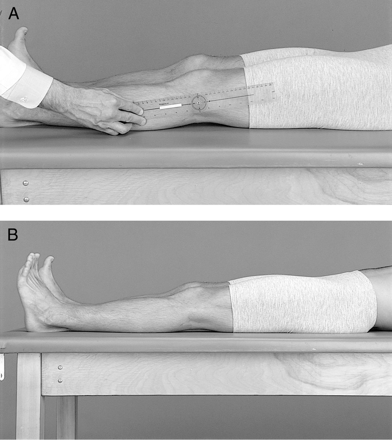 Physical Examination