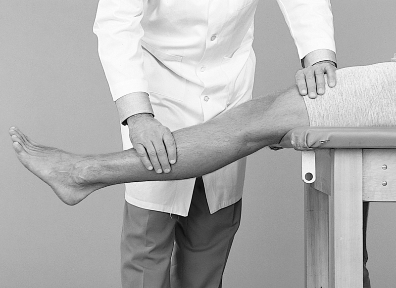 Physical Examination