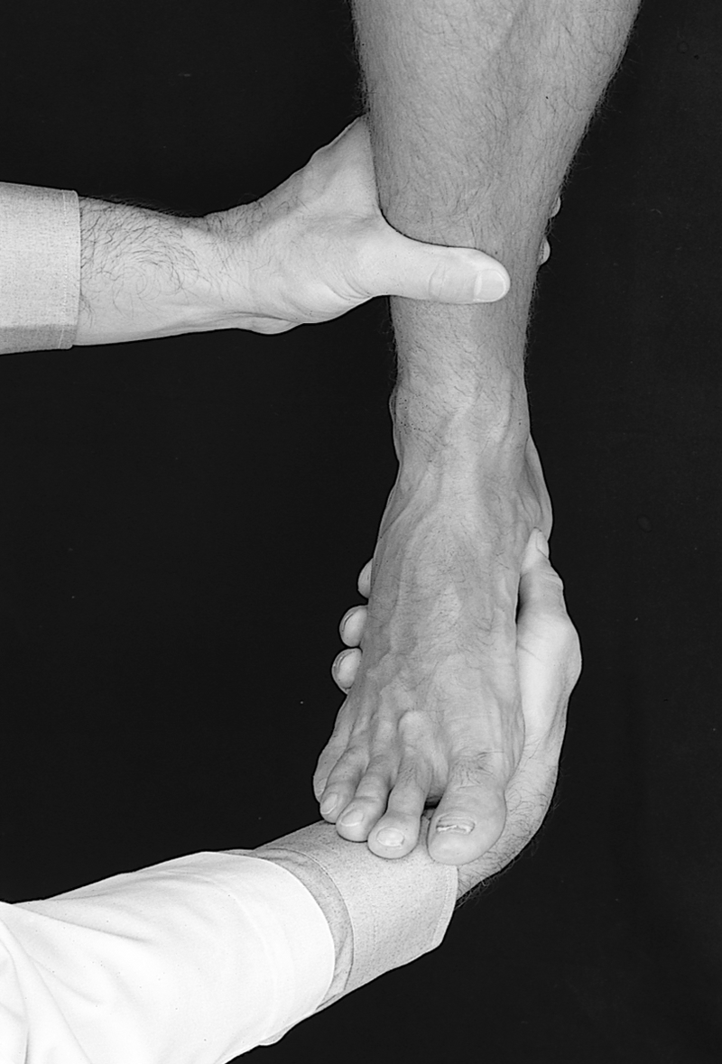 Physical Examination