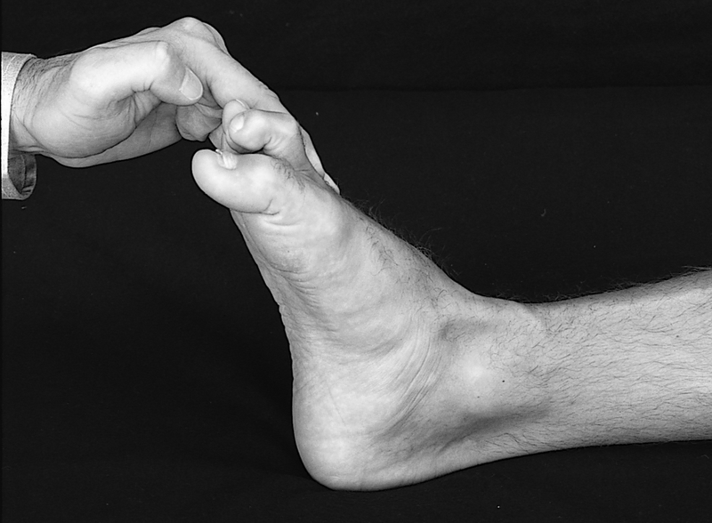 Physical Examination