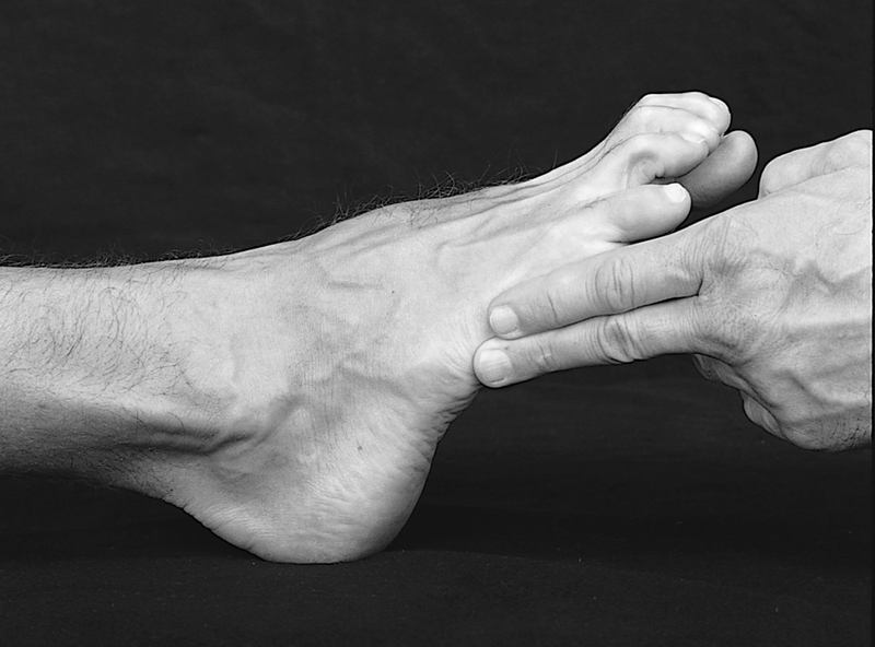 Physical Examination