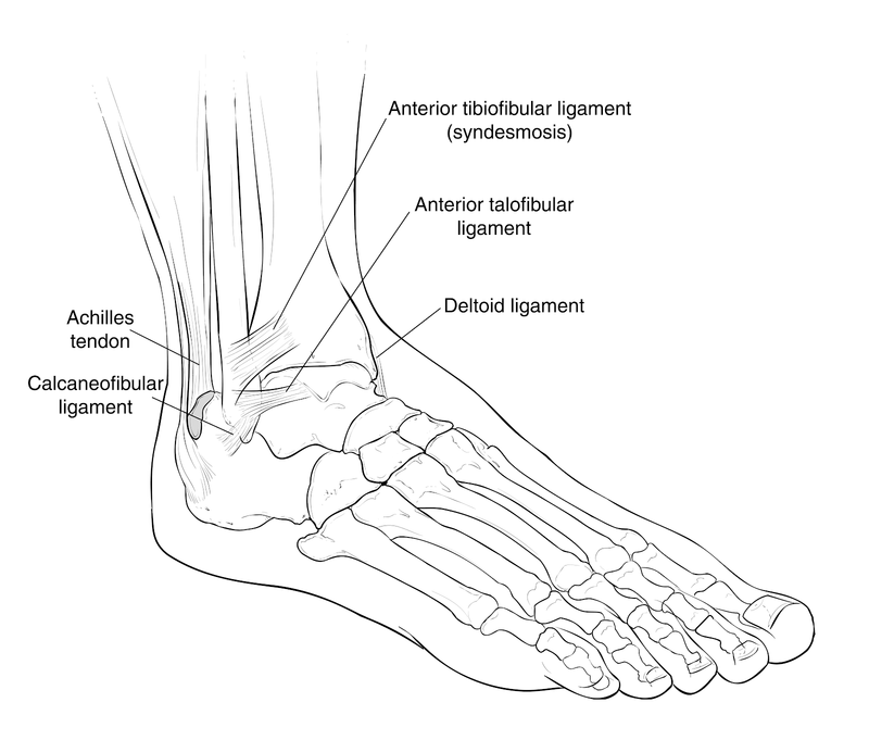 Soft-Tissue Trauma