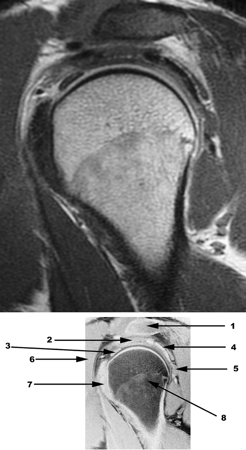 Special Imaging Studies