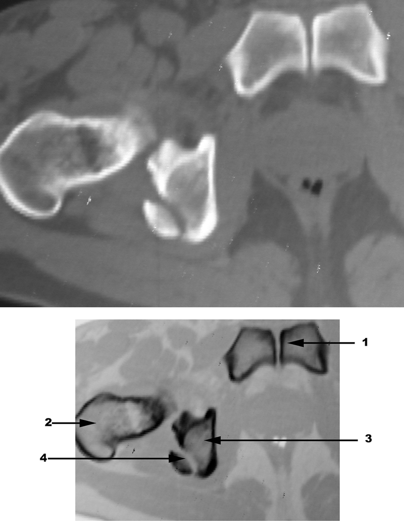 Special Imaging Studies