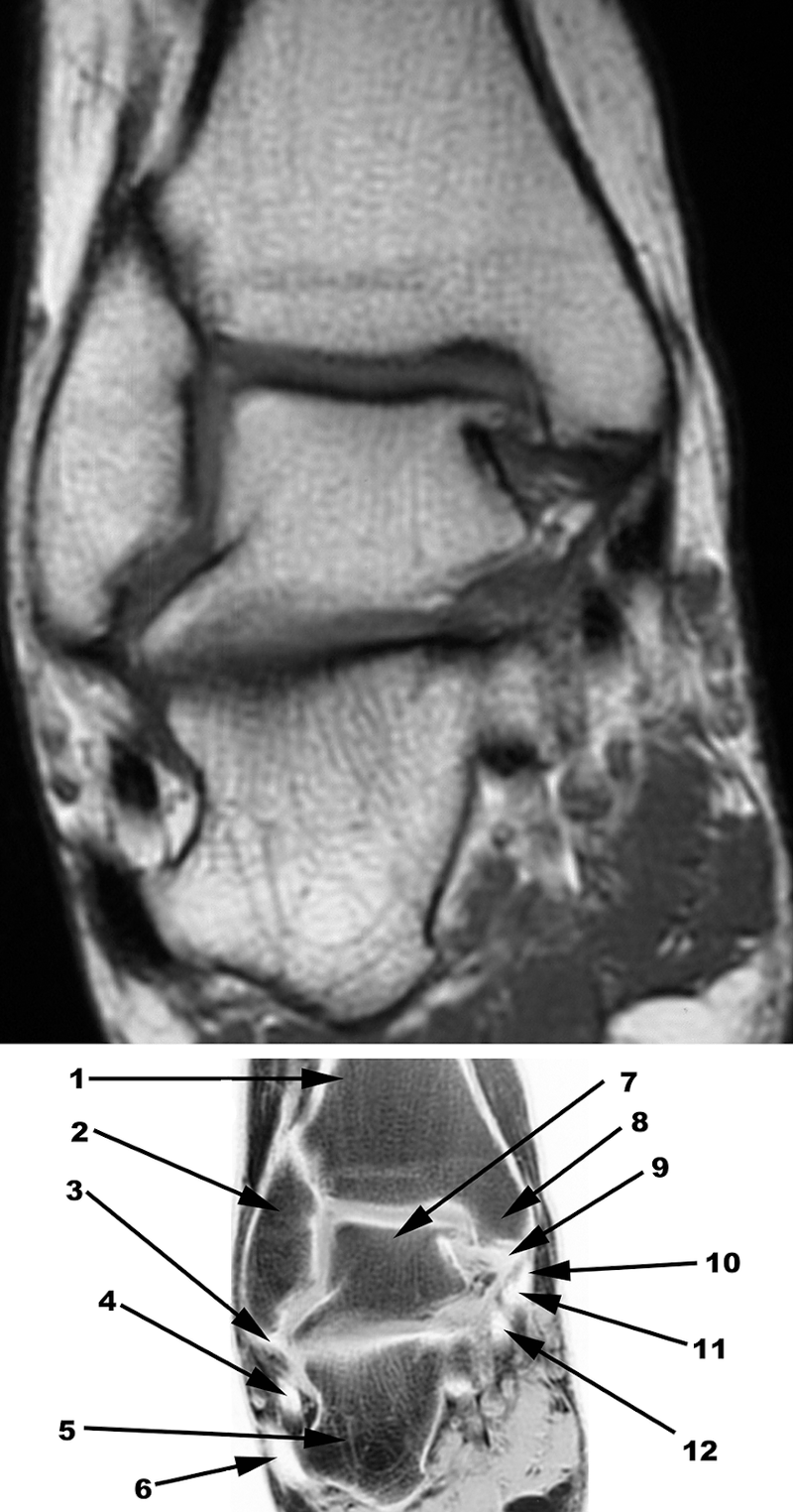 Special Imaging Studies