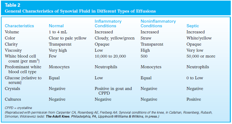 Synovial Tissue