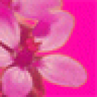 cavsome