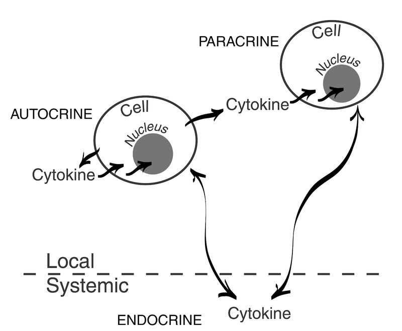 Inflammation