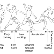 special-concerns-of-the-athlete