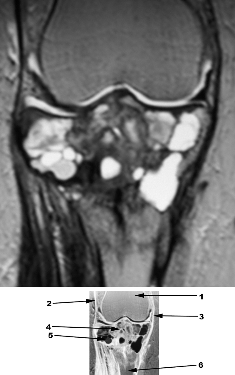 Special Imaging Studies