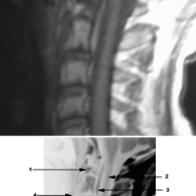 special-imaging-studies