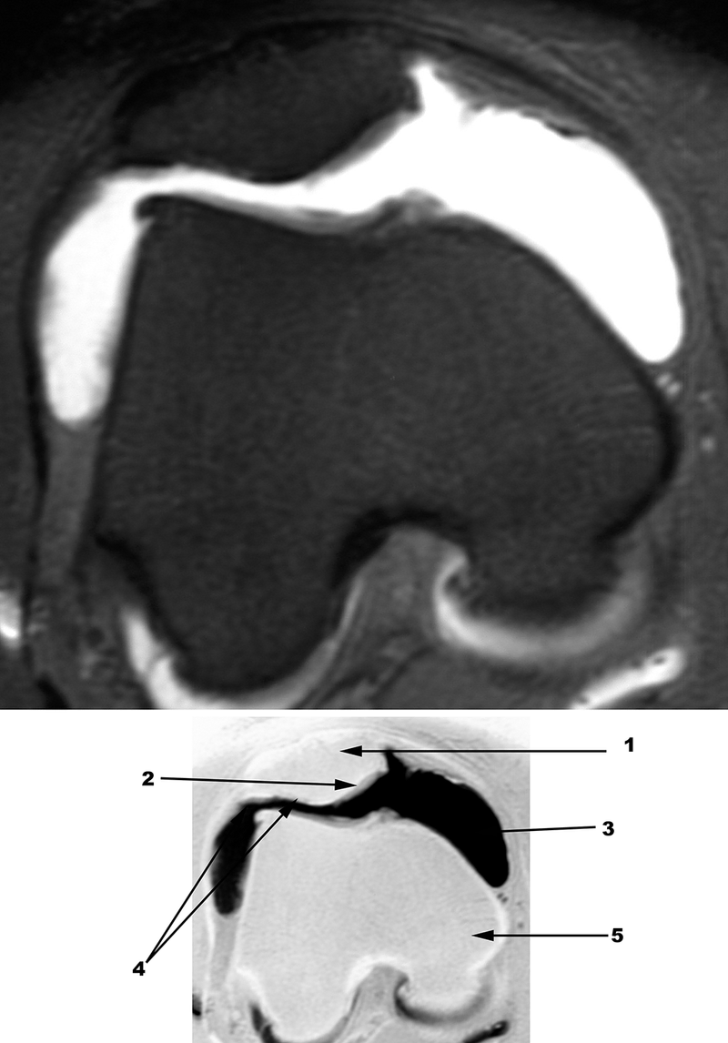 Special Imaging Studies