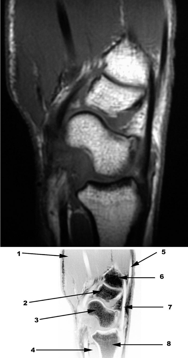 Special Imaging Studies