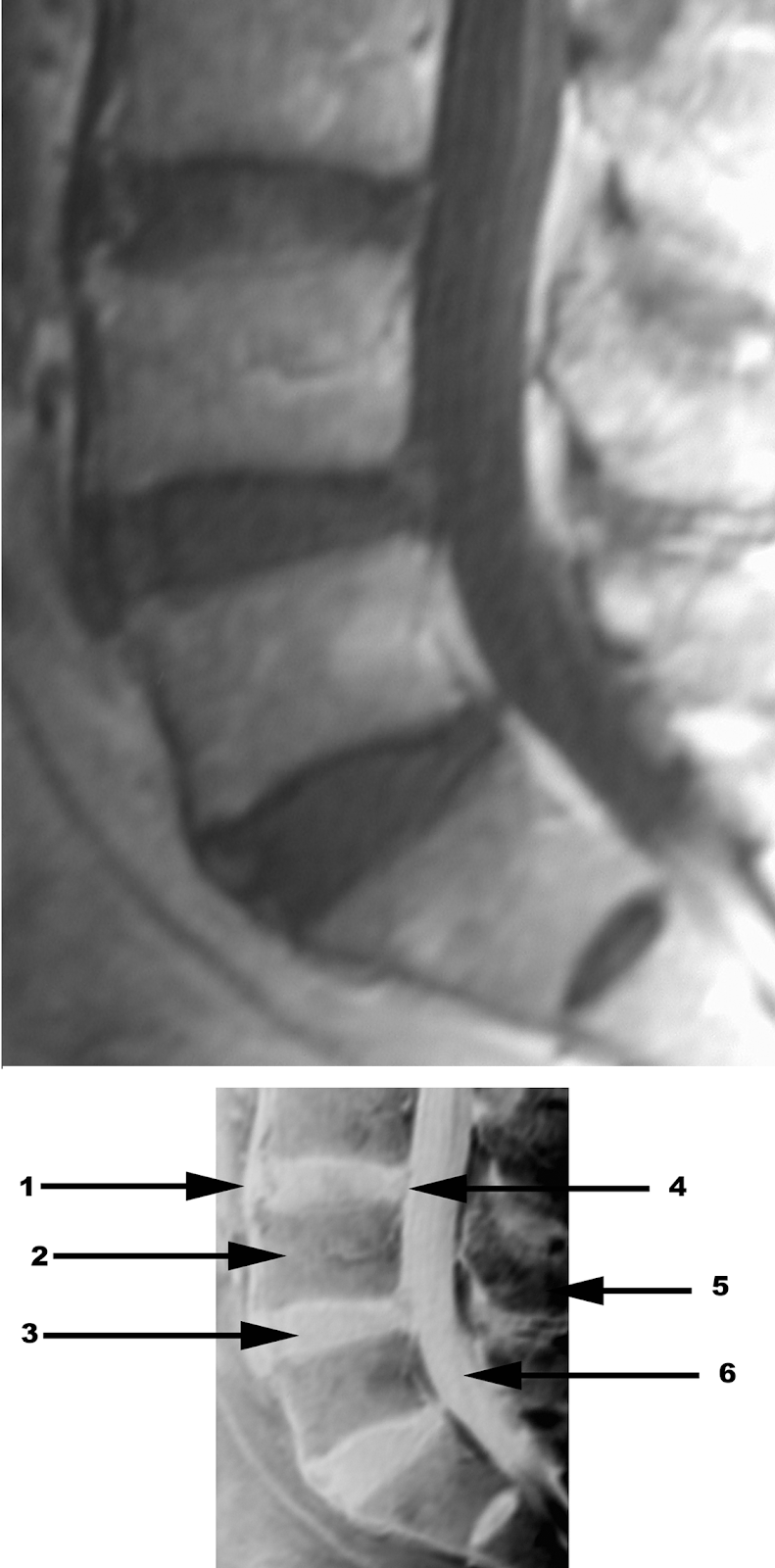 Special Imaging Studies
