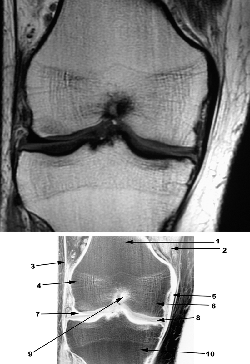 Special Imaging Studies