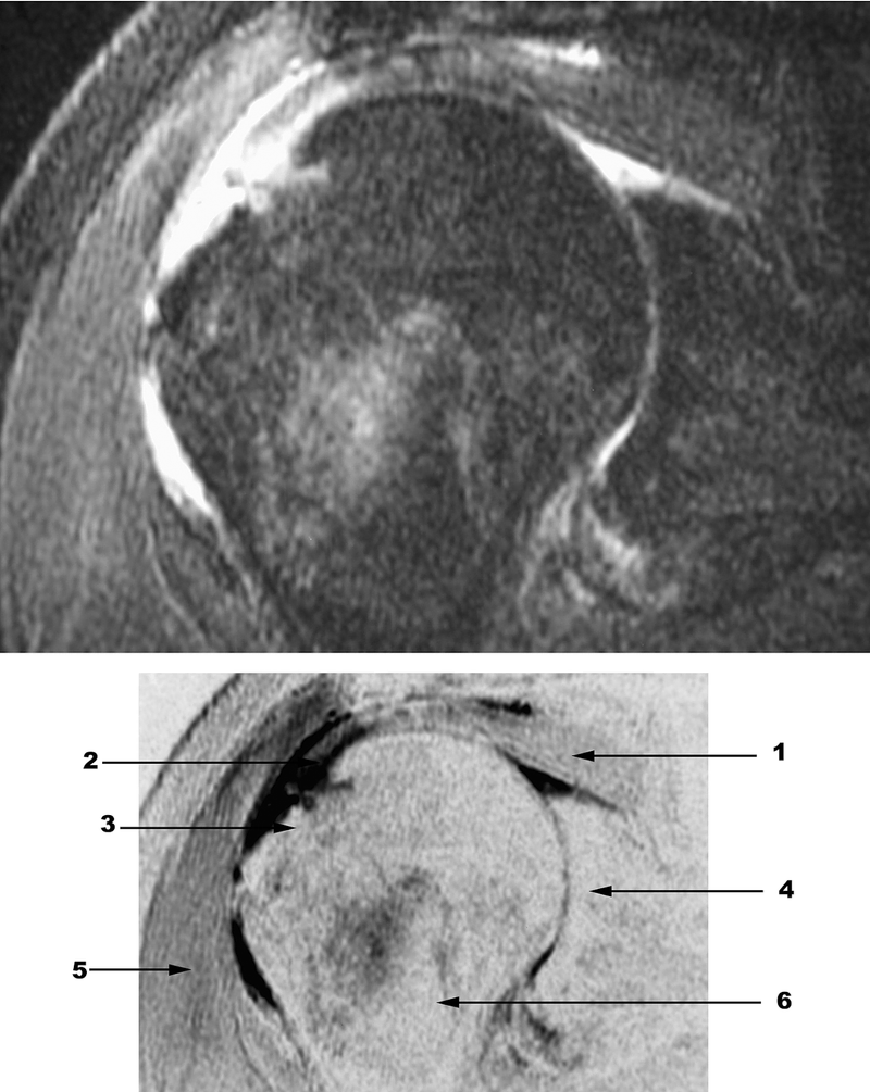Special Imaging Studies