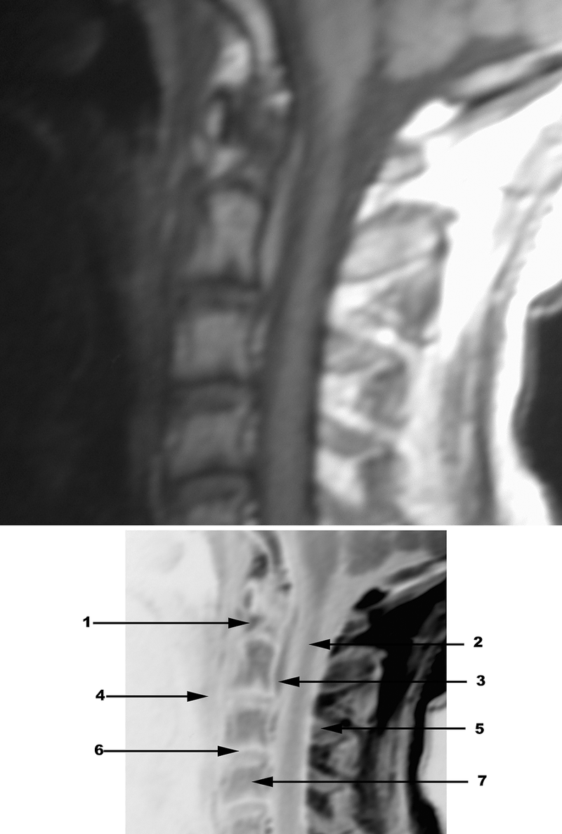 Special Imaging Studies