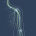 Common Nerve Injuries of the Upper Extremity: Diagnosis and Repair