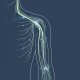 Common Nerve Injuries of the Upper Extremity: Diagnosis and Repair