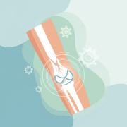distal-humerus-fractures-surgical-management-and-post-operative-rehabilitation Distal Humerus Fractures: Surgical Management and Post-Operative Rehabilitation