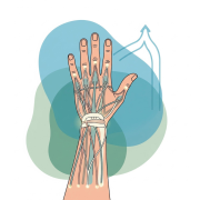 tendon-injuries-of-the-hand-and-upper-extremity-a-review-of-repair-and-rehabilitation Tendon Injuries of the Hand and Upper Extremity: A Review of Repair and Rehabilitation