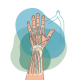 Tendon Injuries of the Hand and Upper Extremity: A Review of Repair and Rehabilitation