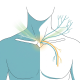 Thoracic Outlet Syndrome: A Comprehensive Review of Diagnosis and Management